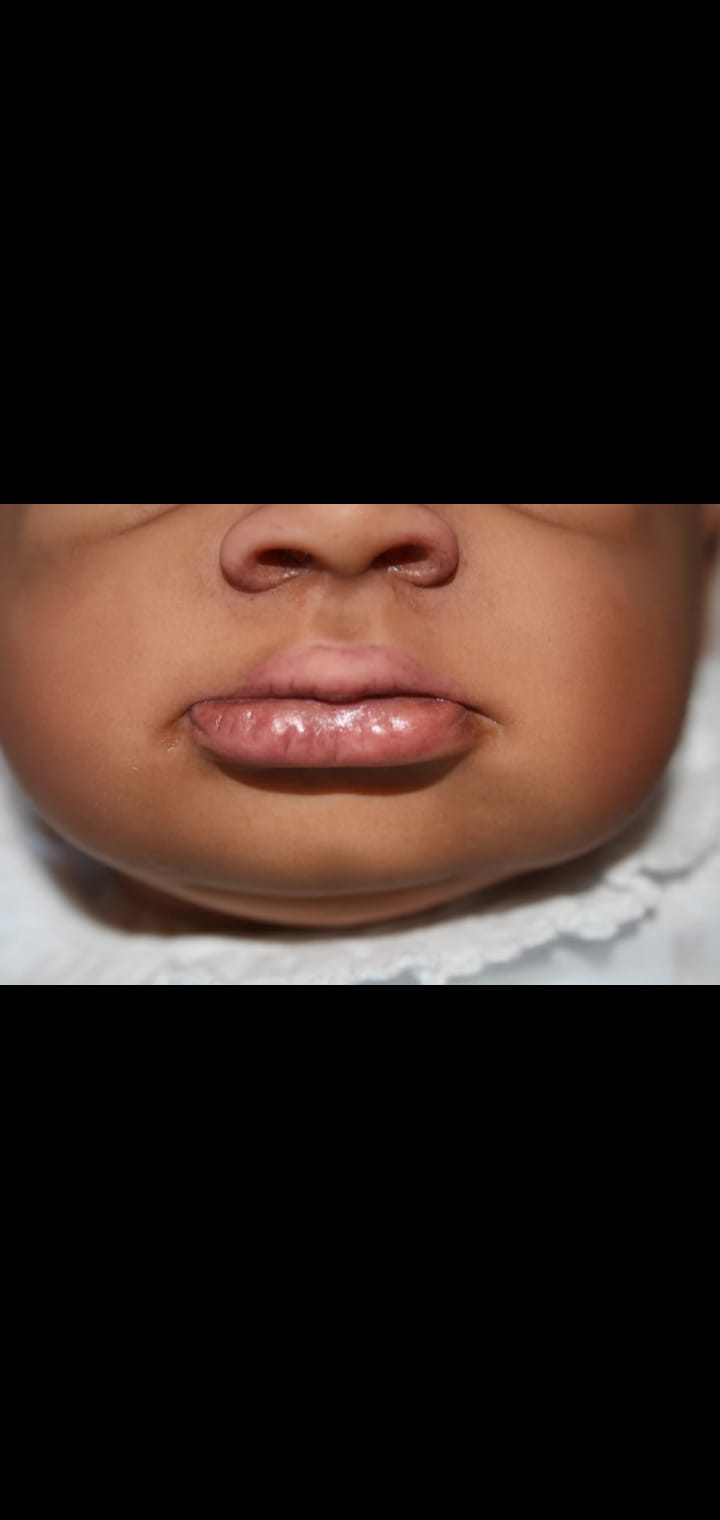 Bebé Reborn Lanny