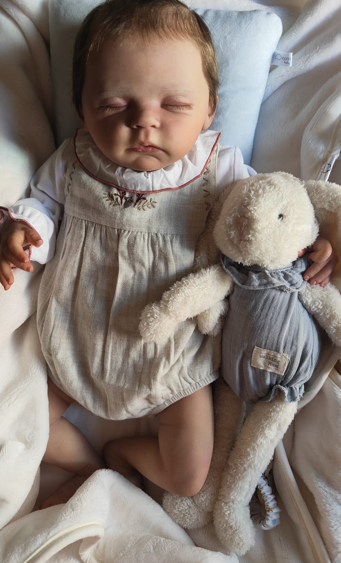 Bebé Reborn Alix