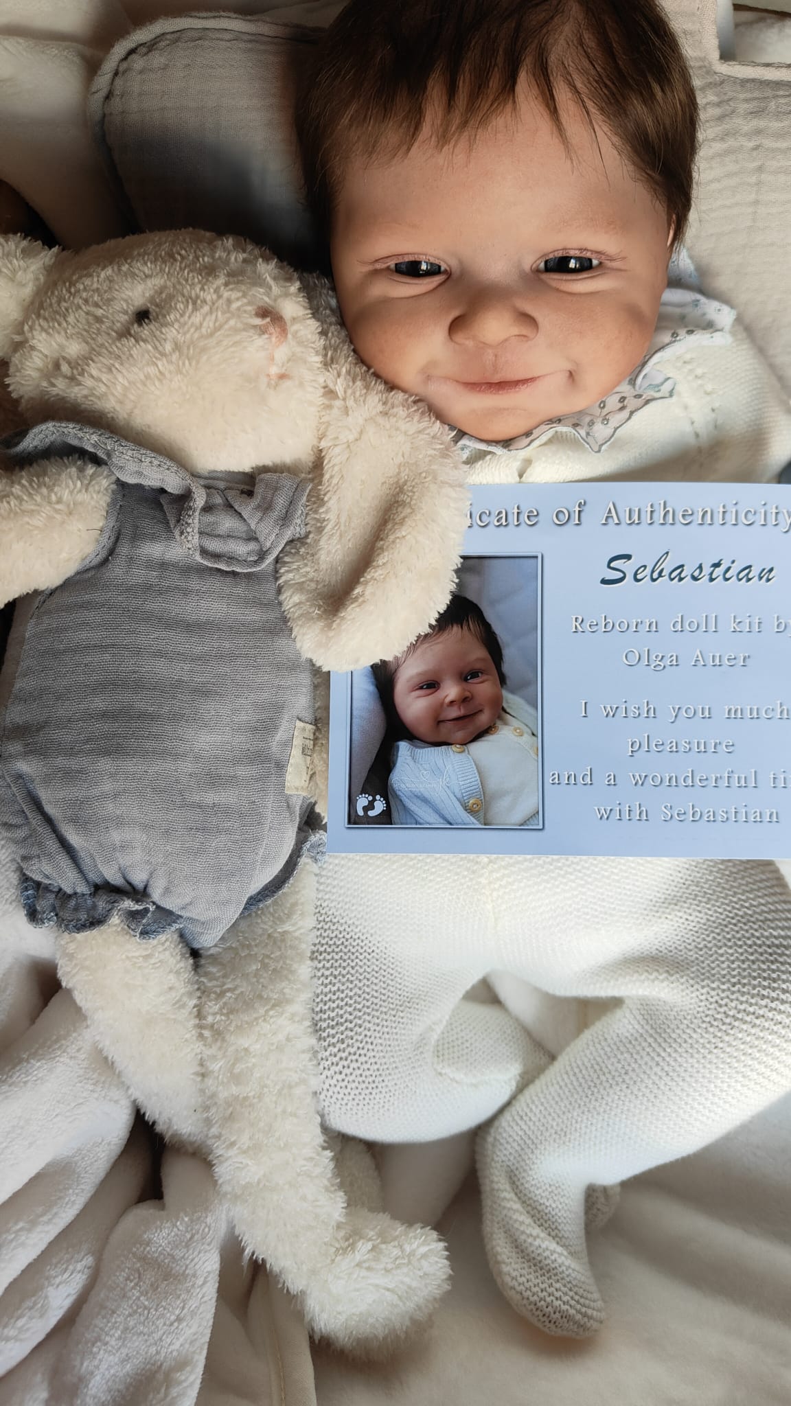 Bebé Reborn Sebastian