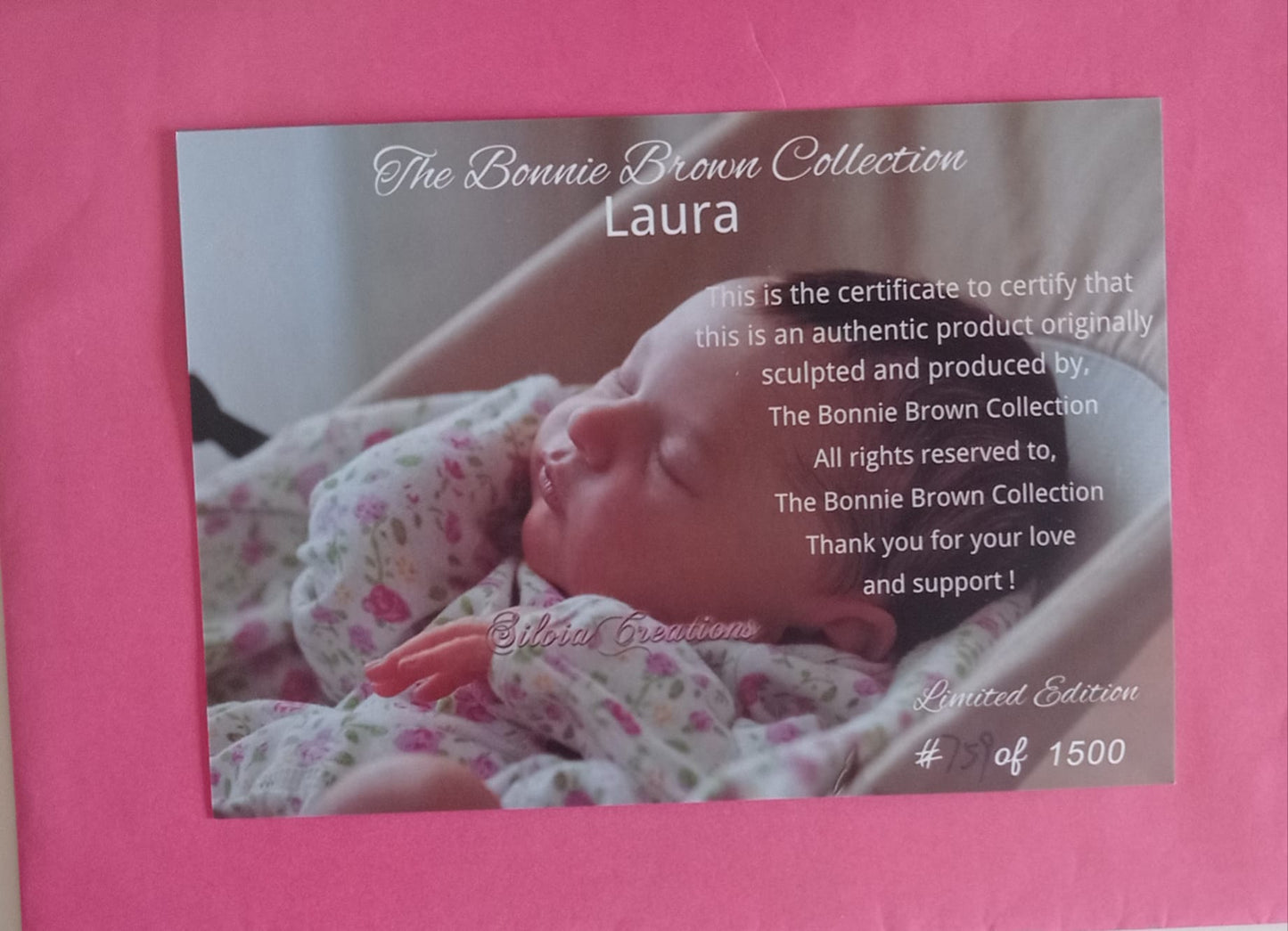 Bebé Reborn Laura