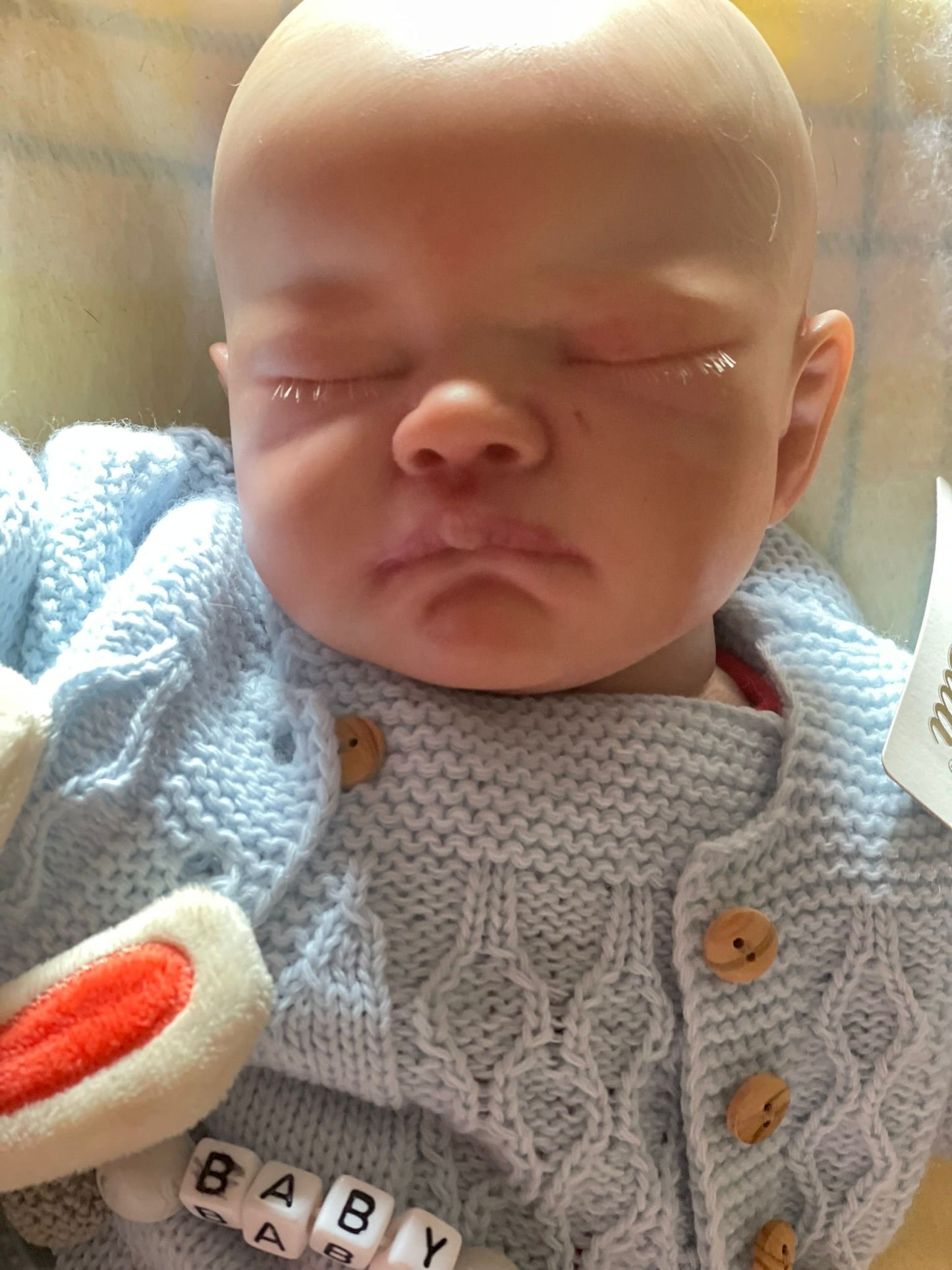 Bebé Reborn August