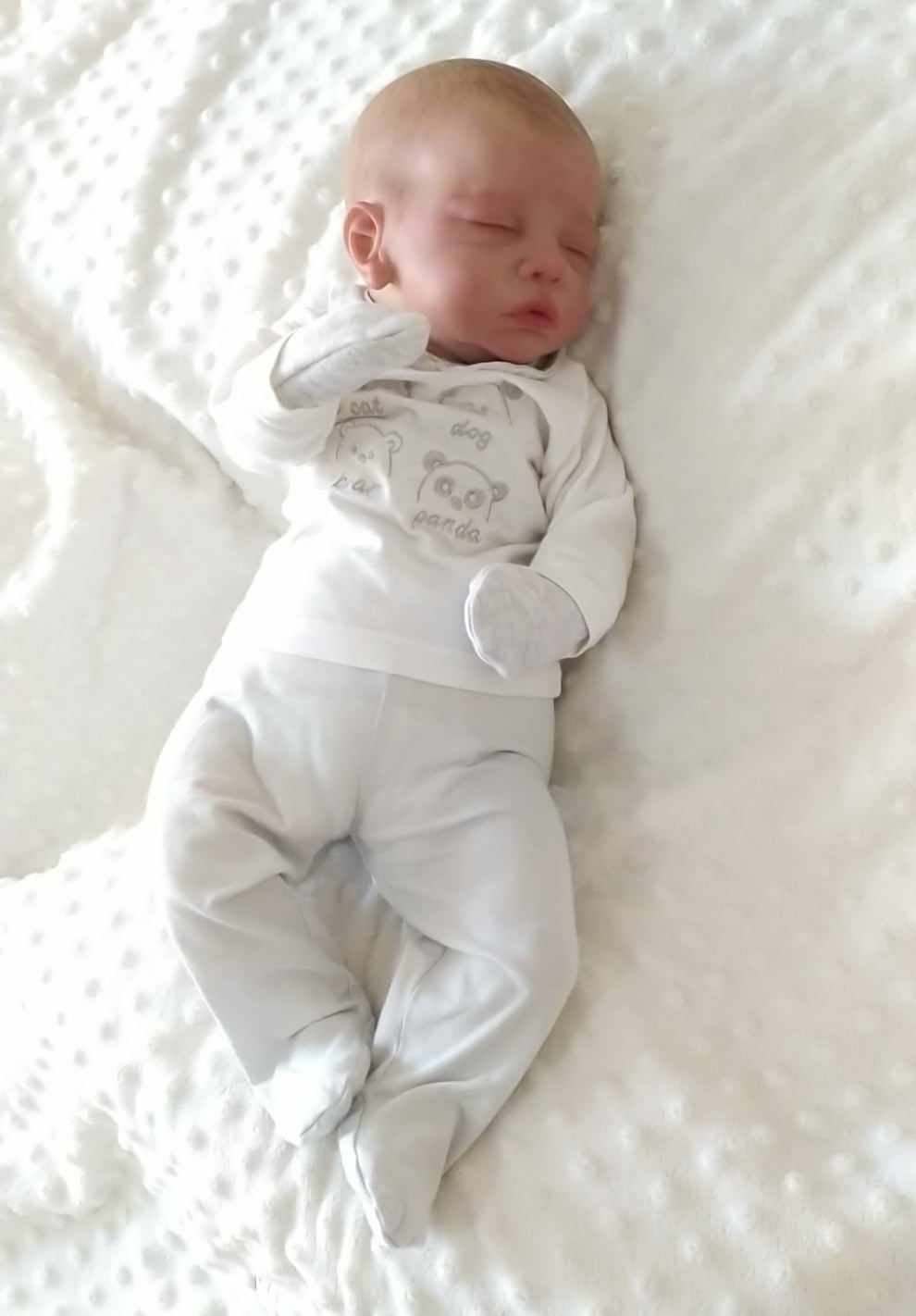 Bebé Reborn Romy