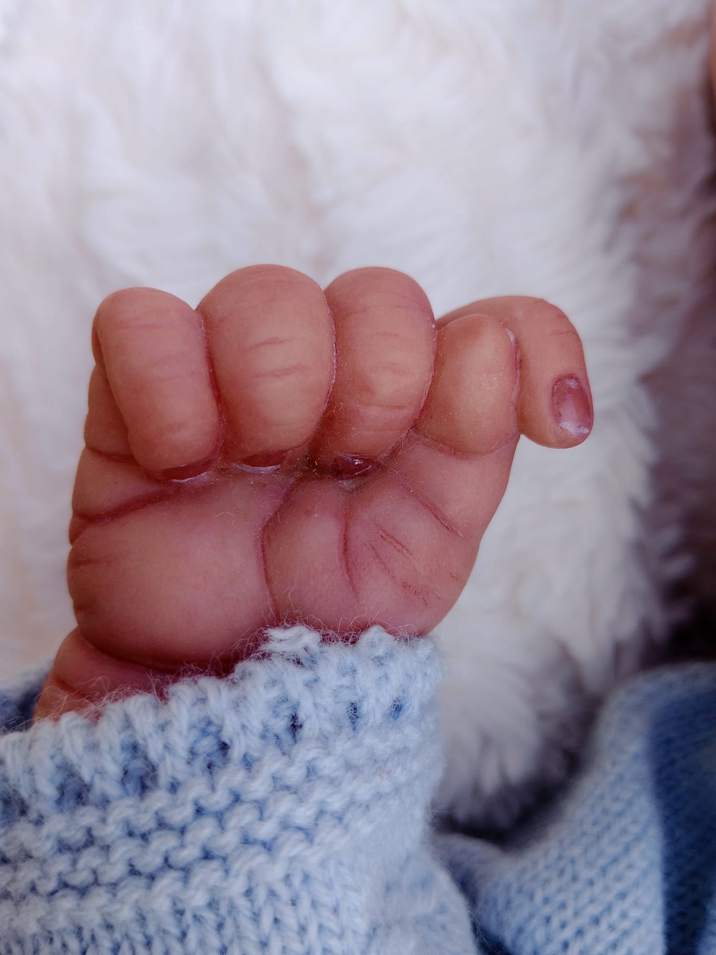 Bebé Reborn Pascale