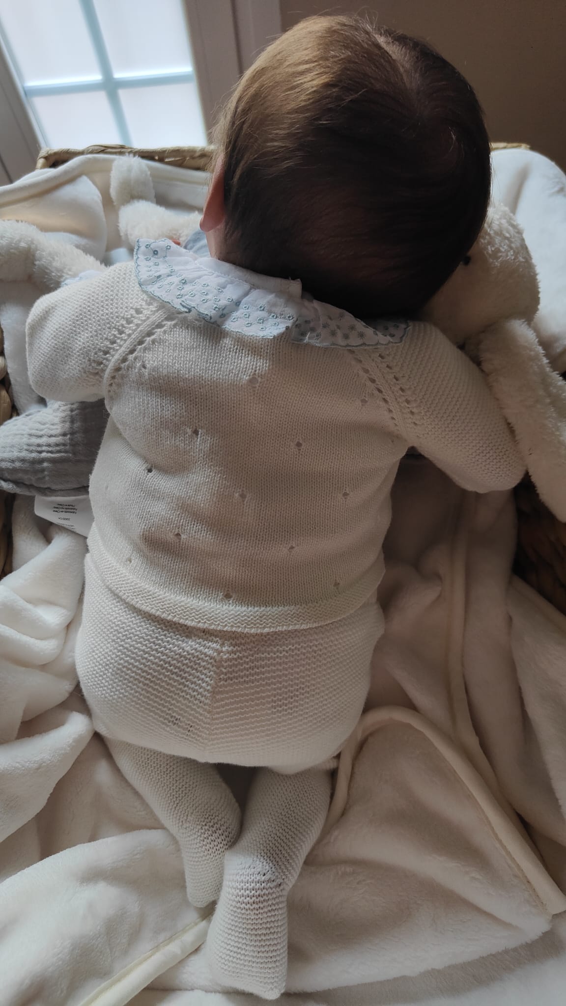 Bebé Reborn Sebastian