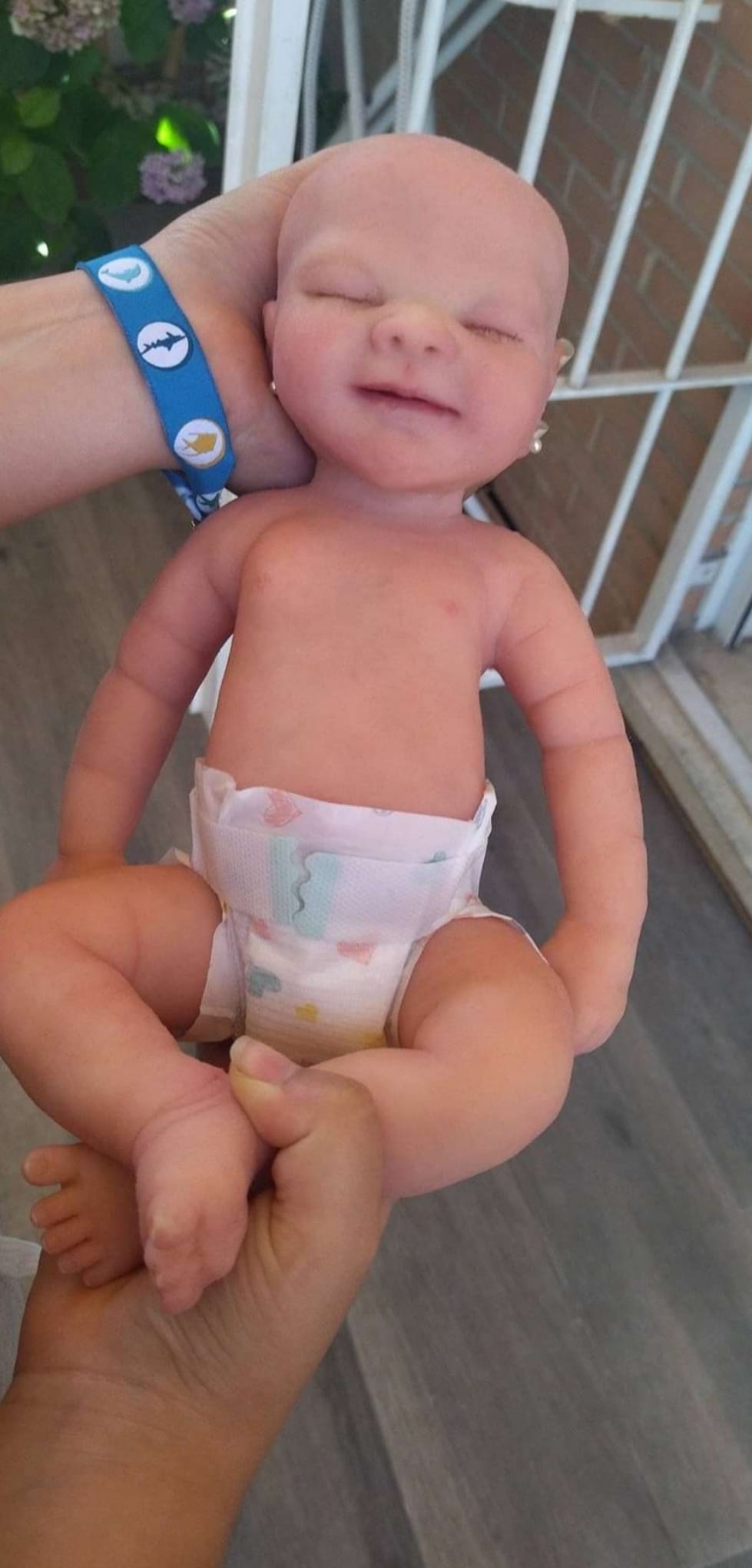 Bebé Reborn Carla